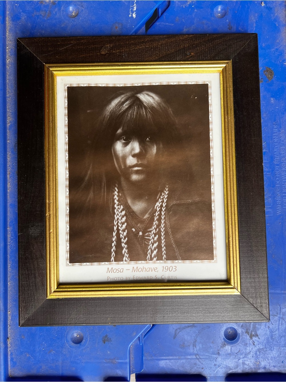 Framed Mosa Mohave Print